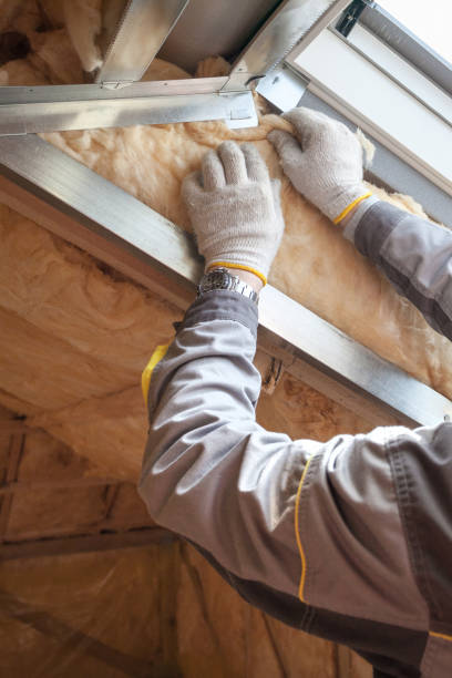 Professional Insulation in Belleville, MI